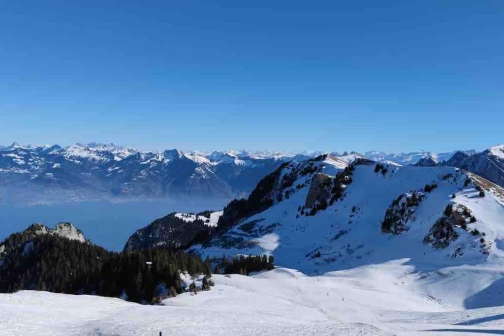 Studio Myrtilles Du Leman Vue Sur Lac Et Montagne Thollon-les-Memises Exterior photo